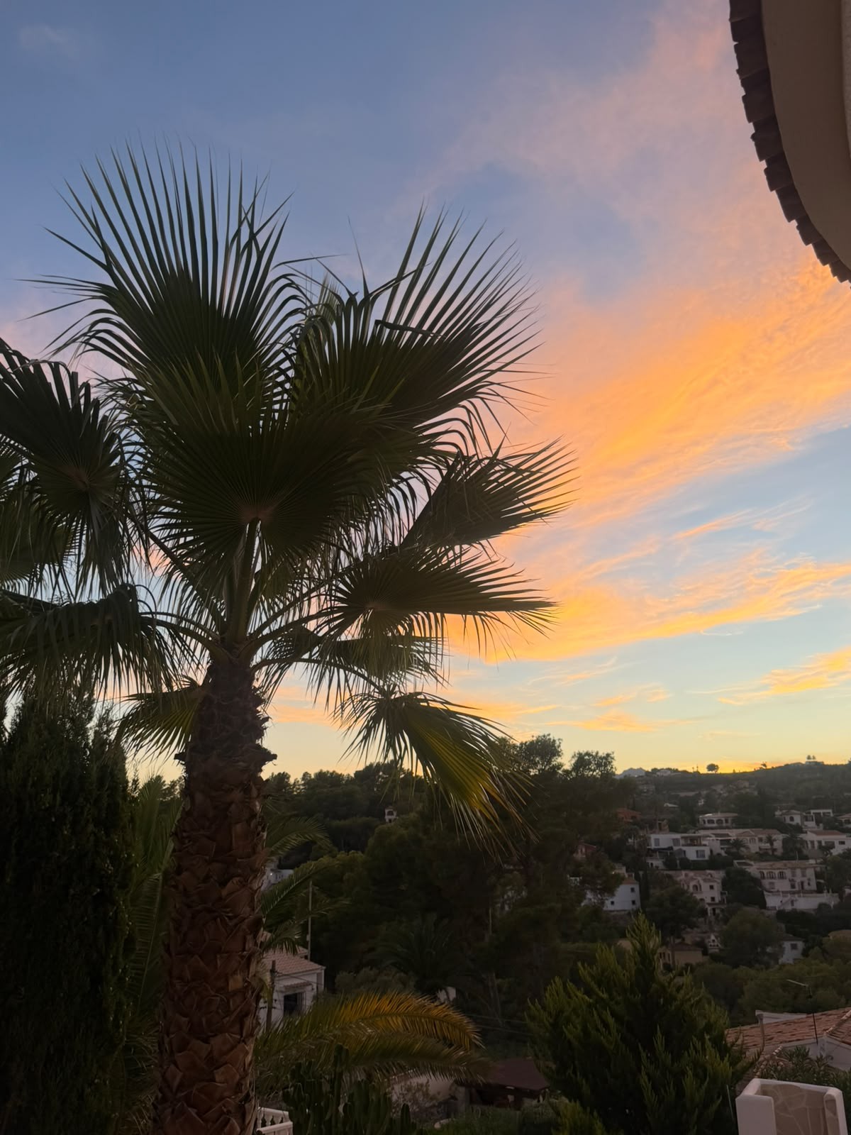 Zonsondergang tussen de palmen